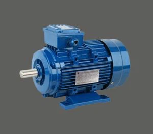 AC Y2-1 Induction Motor fyrir dælur, Fans