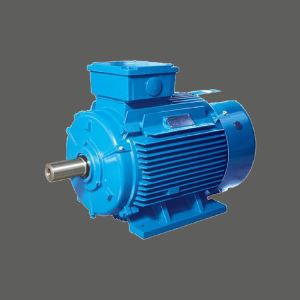Industrial Blender Motors