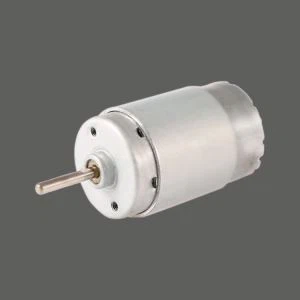 Lawn Mower Motor