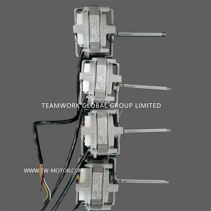 Fan Motor Without A Gear Motor.